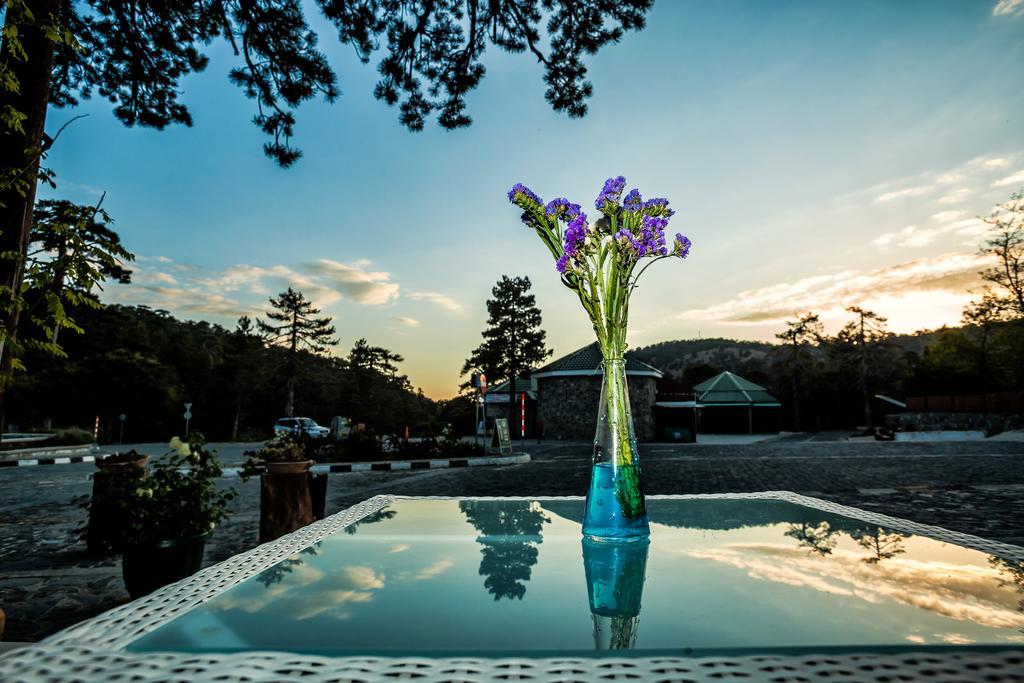 Troodos Hotel & Spa Exteriör bild